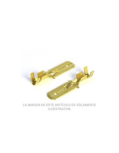 TERMINAL FASTON/M 6 03 CON CLIP LATON  S 0 50-1 