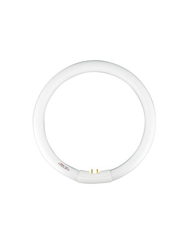 TUBO FLUORESCENTE CIRCULAR 22W TL-E 22W/54