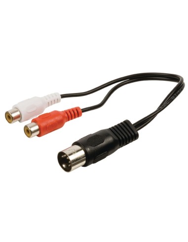 CABLE DIN 5PIN/M - 2 RCA/H  0 2M 