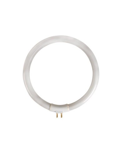 TUBO FLUORESCENTE CIRCULAR 12W/T4 PARA VTLAMP10