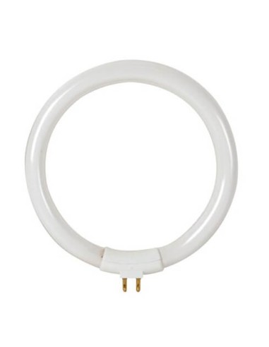 TUBO FLUORESCENTE CIRCULAR 12W/T4 PARA VTLAMP8