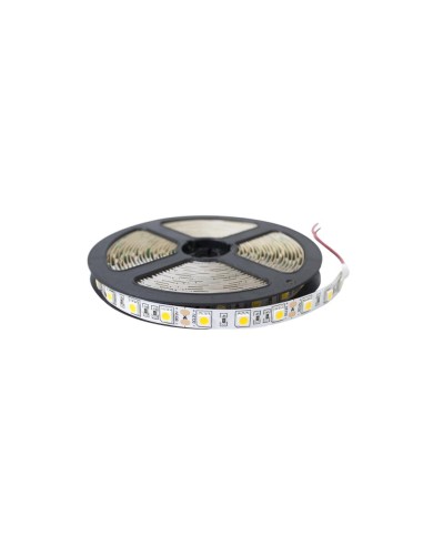 TIRA DE 60 LED/M IP20 12V SMD 5050 B FRIO  5M 