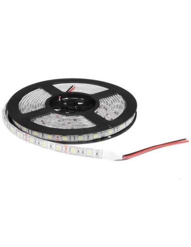 TIRA DE 60 LED/M IP44 12V SMD 5050 B FRIO  5M 