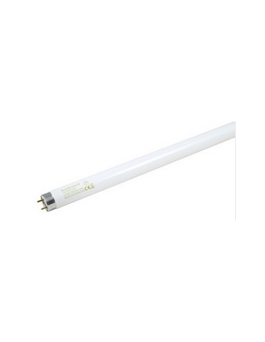 TUBO FLUORESCENTE 36W T8 LUZ DIA DH