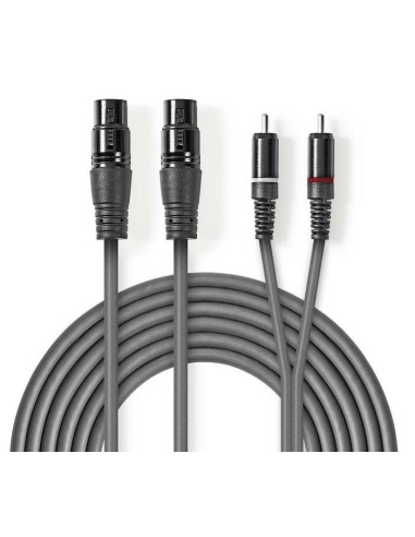 CABLE 2 CANON/H - 2 RCA/M  3M 